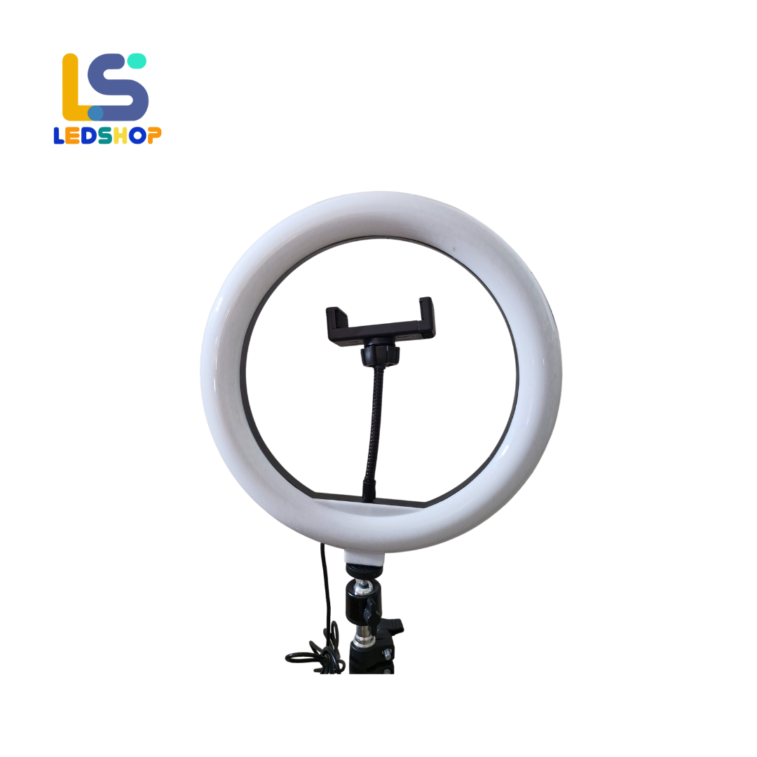 ARO DE LUZ LED 12"